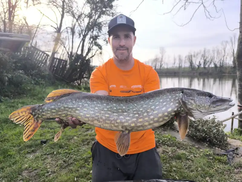 Pêche aux Carnassiers
